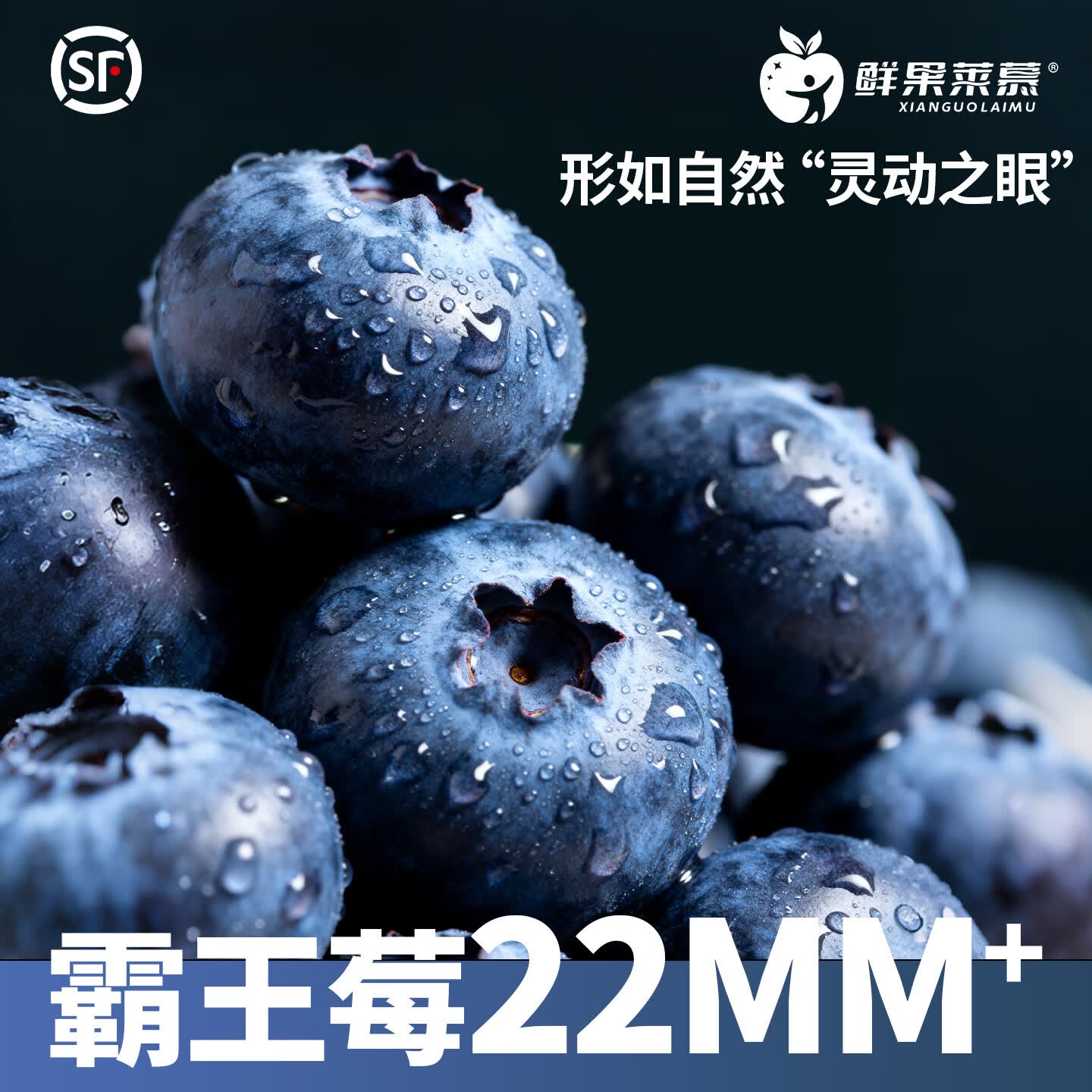 鲜果莱慕【顺丰空运】云南花香蓝莓鲜果L25新鲜水果香脆甜多汁单盒125g/盒 4盒 18MM+※大果※鲜采※鲜果※脆甜