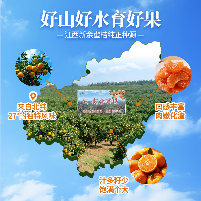 新余蜜桔分享送礼 新鲜蜜橘 橘子桔子水果酸甜多汁 生鲜蜜桔 果园顺丰直发 5斤装(净重4.5斤)【80%选择】 50-60mm大果