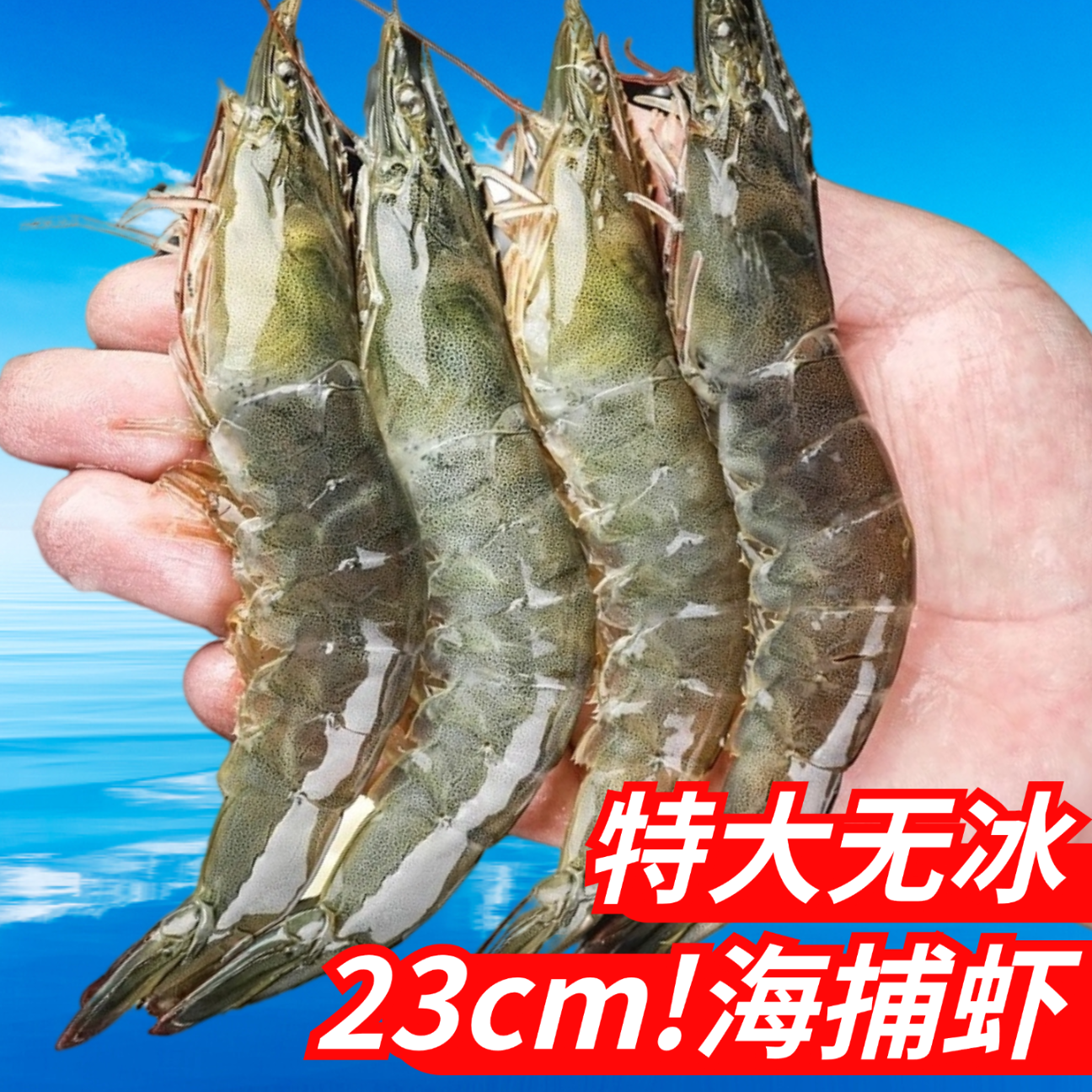 蟹君宝大虾鲜活超大基围虾青岛海虾冷冻青虾新鲜对虾海鲜水产2030盐冻虾 净含量（不含冰） 3300g(净重)  17-23cm 【特大虾皇】不抽虾无冰