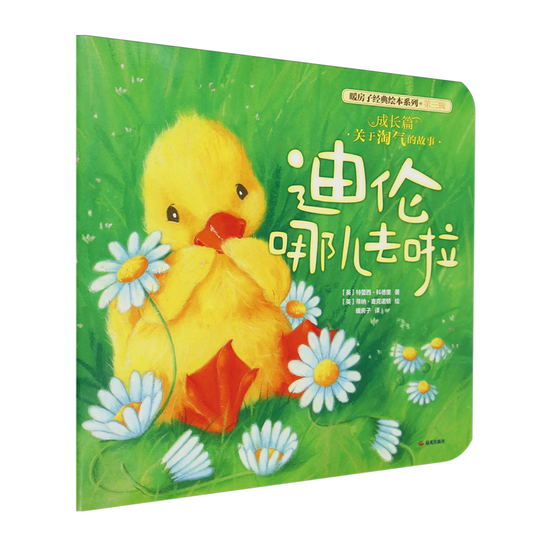 【新华书店】迪伦哪儿去啦 正版包邮