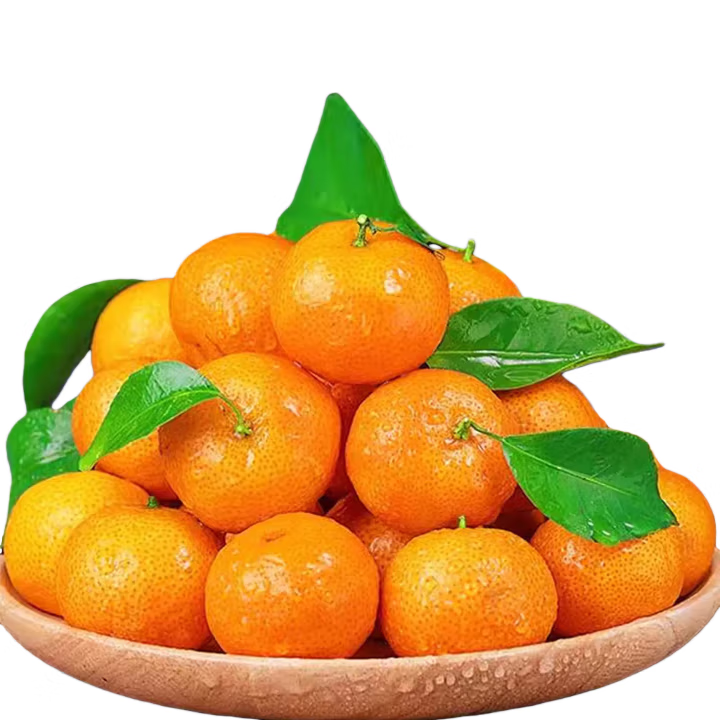 懒鲜生广东正宗沙糖桔清甜无渣砂糖橘 8斤净重 大果（50-60mm）