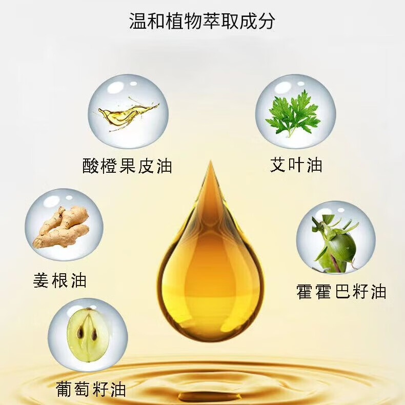 修正艾姜按摩精油【植物】艾草生姜舒缓按摩精油推拿刮背痧免洗老少   1瓶【艾草生姜舒缓按摩精油】 100毫升/瓶