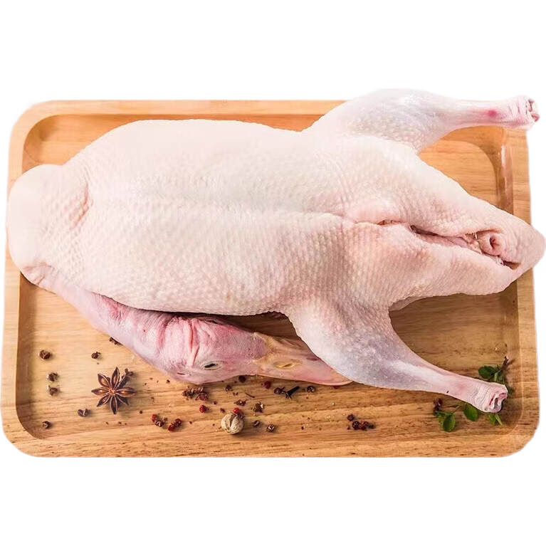 󳧻ԴˮѼɱѼӻѼѼɢũѼ 5-6/ֻ Ѽӣࣩ 56Ԫ