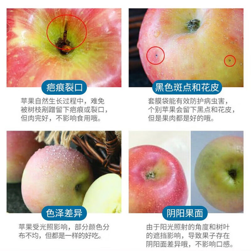 龙多鲜JD送货上门冰糖心富士苹果红富士苹果新鲜水果当季整箱现摘 整10斤  约18-24枚  净重8.5斤