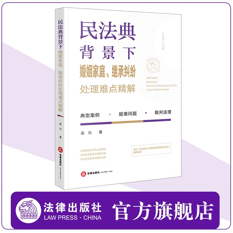 民法典背景下婚姻家庭 继承纠纷处理难点精解 高兴著 法律出版社