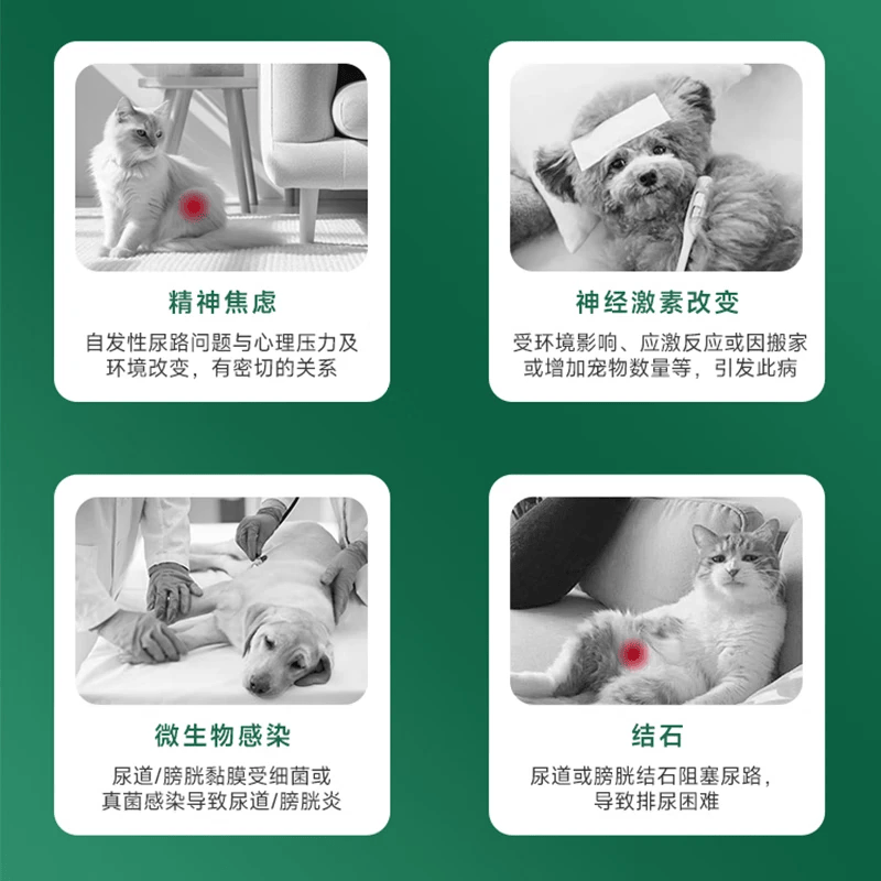 科学喵Dr.cats科学喵犬猫通用综合营养补充【钜惠秒杀】 【效期至2026年8月-11月 随机发货】利尿排石 泌舒胶囊