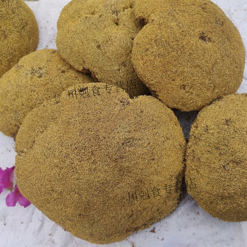 同仁堂藥房新貨正宗西藏野生雪靈芝 中藥材批發(fā)曬 雪靈芝[500克]