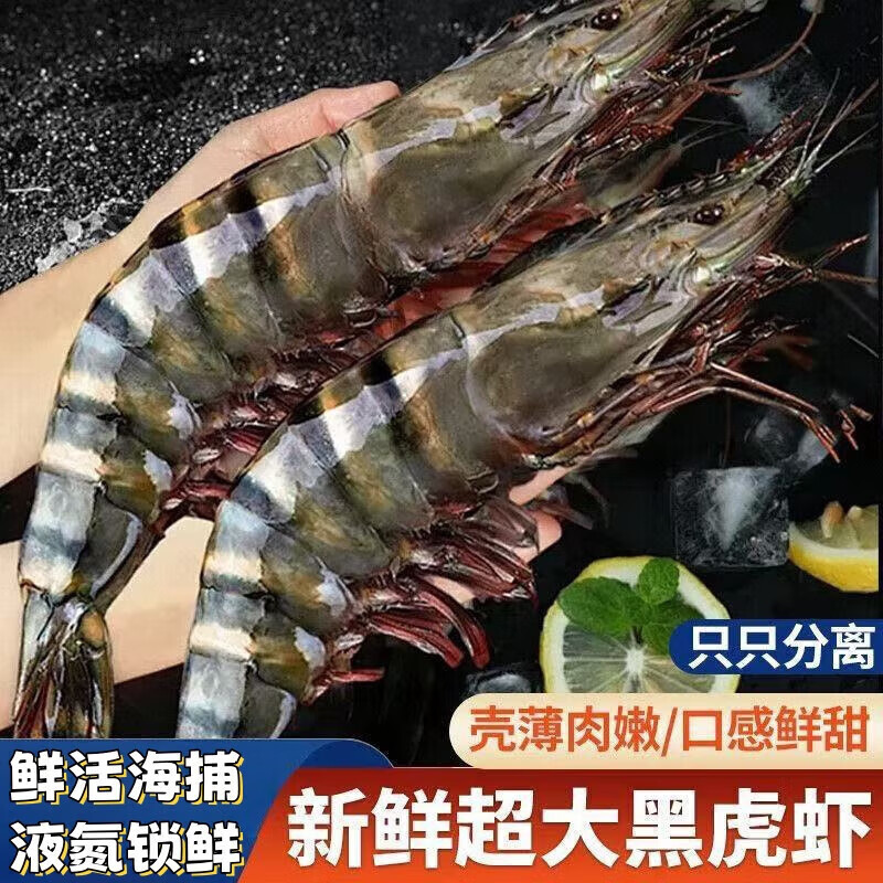 志鲜黑虎虾阿根廷红虾厄瓜多尔白虾熟冻北极甜虾头籽腹籽虾年货礼 黑虎虾6只/盒*2盒 60 600g(净重)
