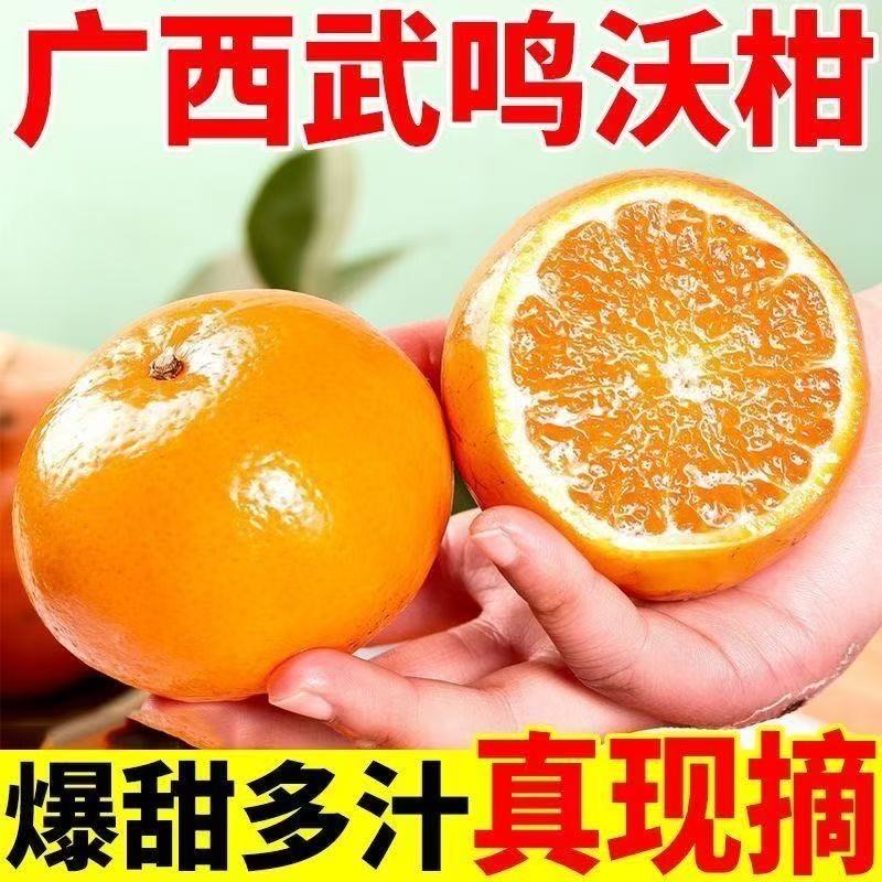 【东东农场专供】武鸣沃柑新鲜采摘现摘现发 沃柑2斤装