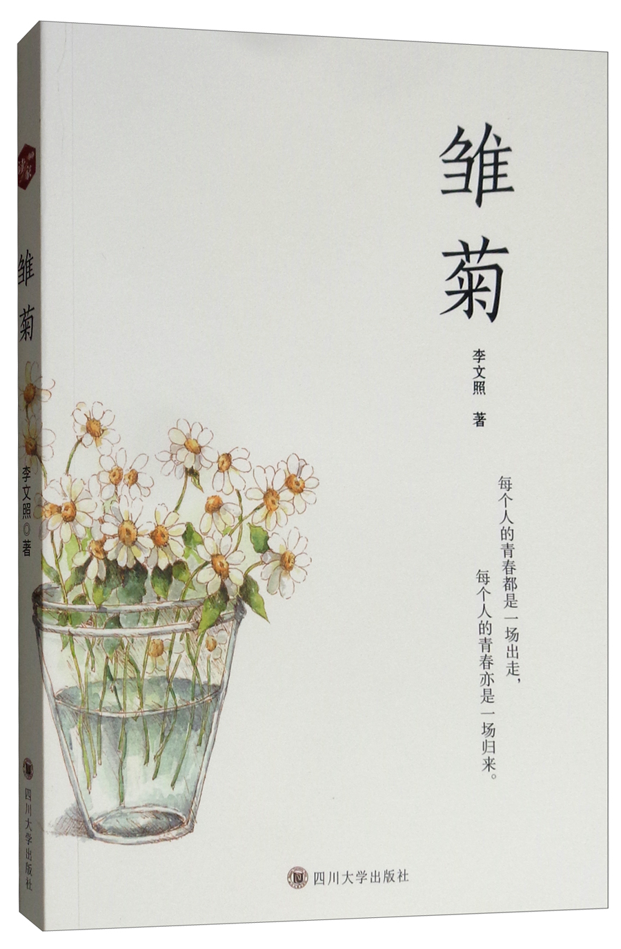雏菊