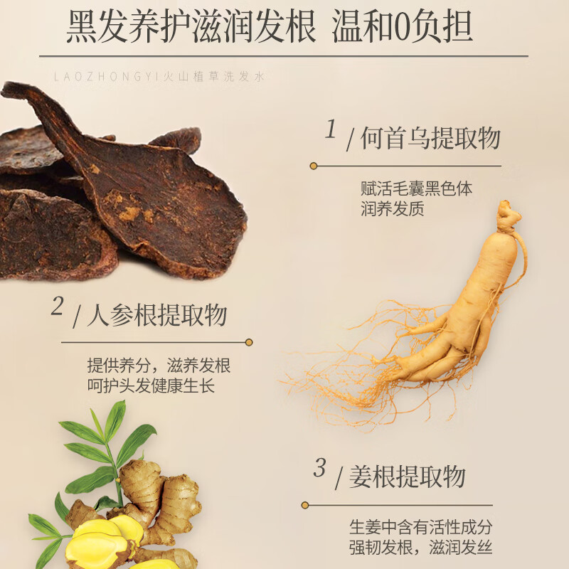 老中医人参何首乌润养洗发水 丰富泡沫平衡油脂强韧发根减少断发分叉 火山植草洗发水500ml