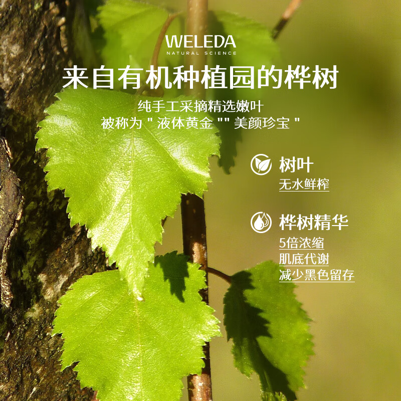 维蕾德（WELEDA）白桦汁浓缩原浆液0添加降脂无糖生酮促代谢口服液亮色嫩肤排宿便 【高倍浓缩需稀释】白桦树汁 200ml*1瓶