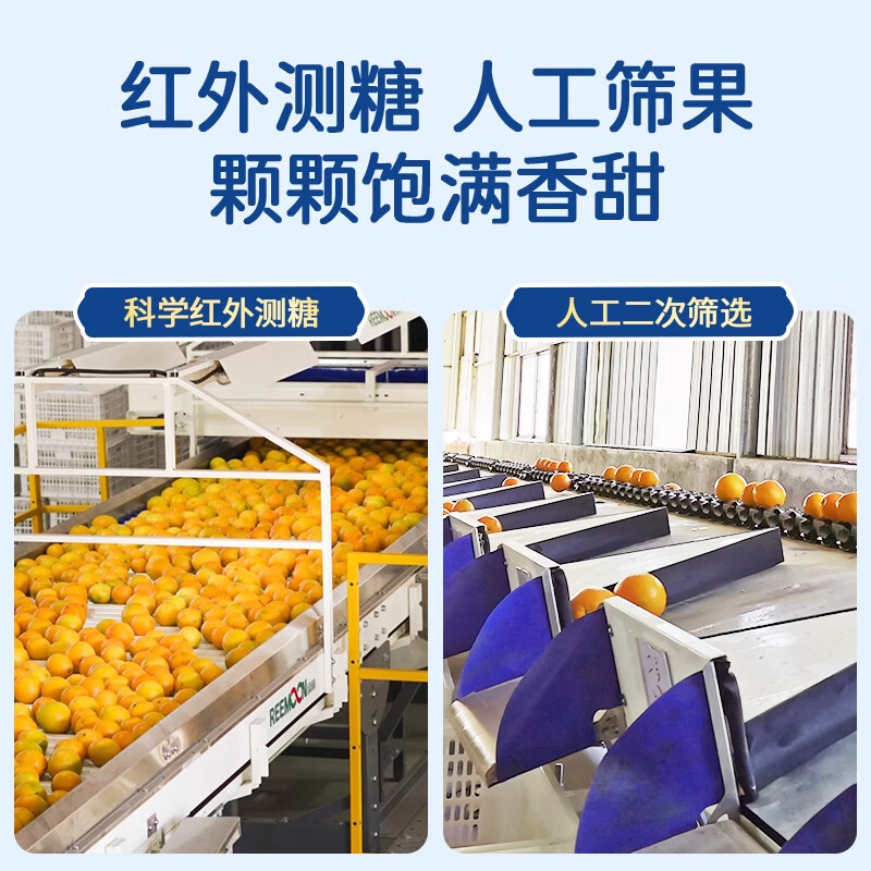 庾丰 正宗江西赣南脐橙 新鲜水果整箱 赣州橙子 团购彩箱送礼春节年货 10斤装 单果80mm-85mm+ 净重9斤