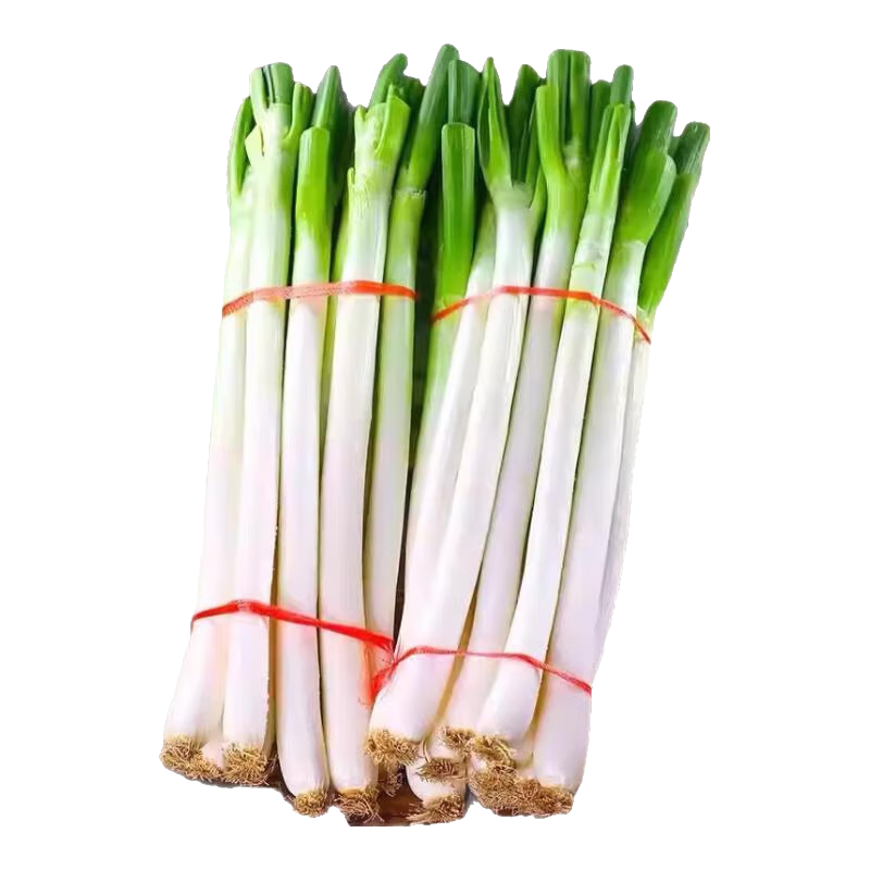 铁杆大葱无硬芯精品现挖现发脆嫩多汁细腻无渣微辣微甜可生吃 2斤 （去皮半叶带箱）