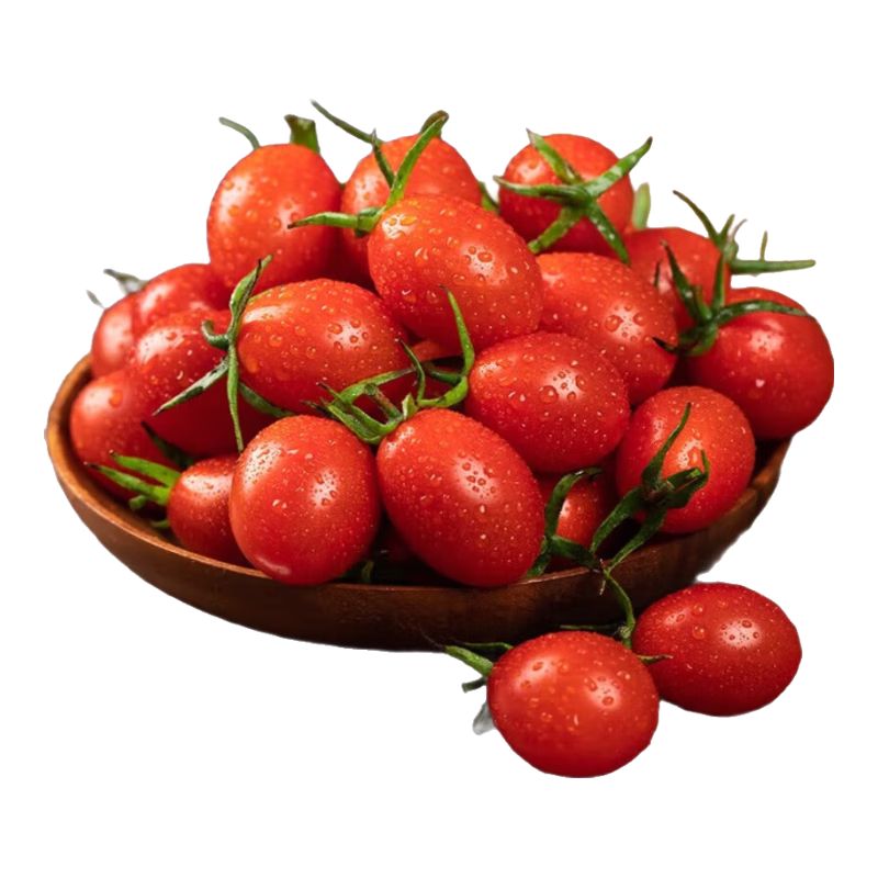 ����Ʒ������ʥŮ��С���� 5�� ��ɫ ���� �и���ͯ��ʳ����ˮ�� 9.9Ԫ