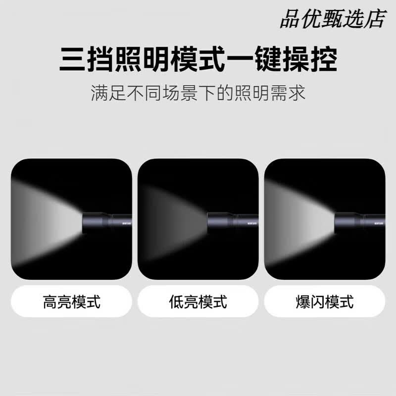 极蜂(BeeBest)F1P强光手电筒家用耐用小型可充电野外超亮远射大功率 F1P充电款