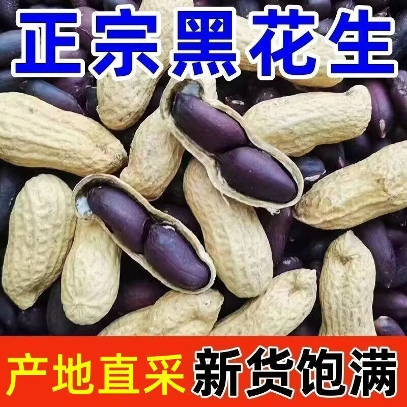 【新货】正宗黑花生带壳生吃云南特产新鲜晒干新货富硒黑花生 精选农家带壳自产黑花生 老品种独粒黑花生 回甘味更好 1斤