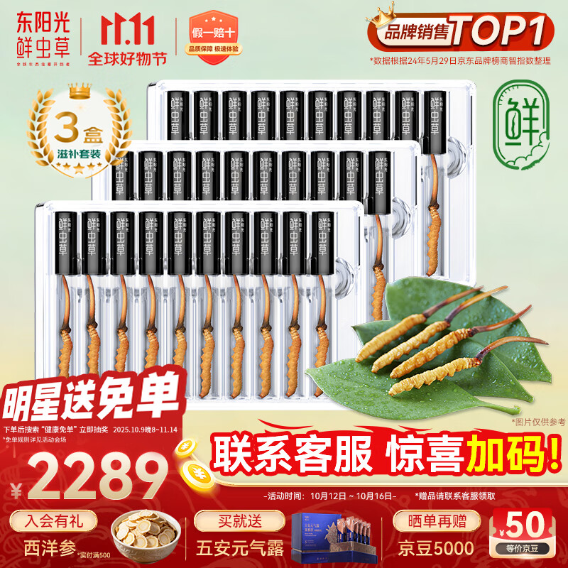 东阳光鲜虫草0.4-0.6g/根30根冬虫夏草滋补品送长辈老人源头直发包邮