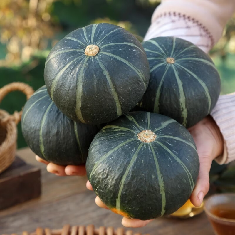 绿熊庄园正宗惠和一号贝贝南瓜板栗味宝宝老人辅食软糯香甜新鲜营养丰富餐 精品尝鲜装 【单果150-250g】净重 3斤