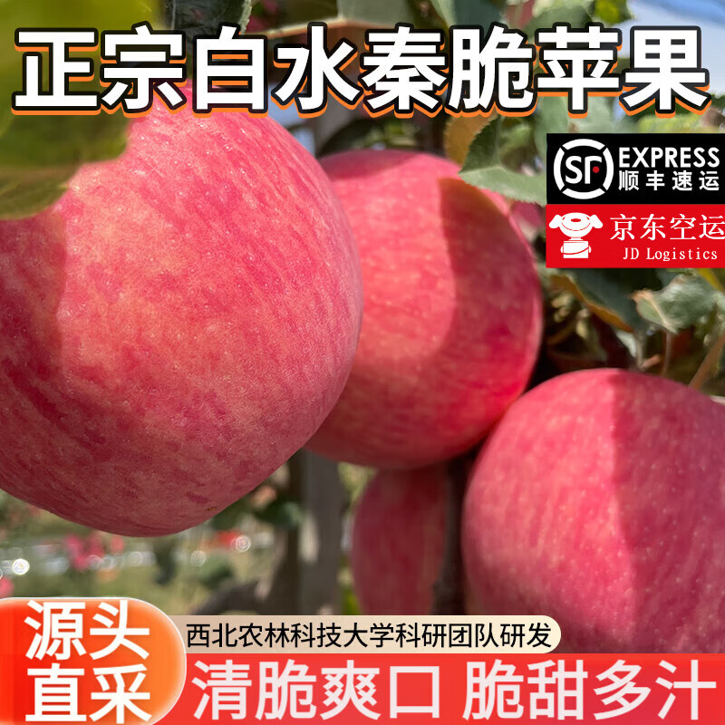 ���� ������ˮ�ش�ƻ����˳��-�����š������ƻ����ƻ�������֭��� 5��75mm+����ѡ����Ʒ����������4.5��شࣩ