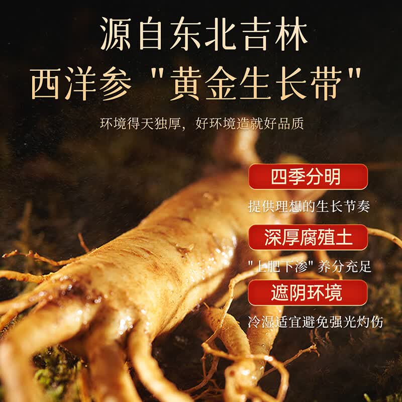 雷允上【官方】珍礼礼盒西洋参石斛羊肚菌陈皮送父母长辈礼物年货节礼盒 160克组合干货礼盒