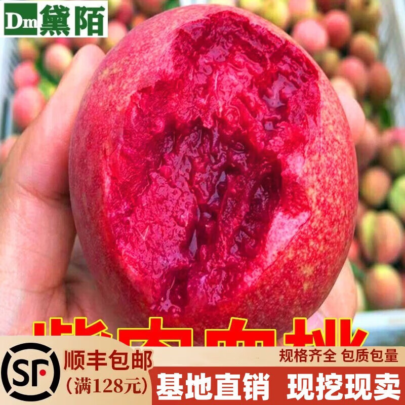 黛陌正宗紫血桃樹(shù)苗嫁接紫肉桃苗紫肉血桃苗紅肉血桃果樹(shù)苗當年結果 8年苗結果多多 壯苗