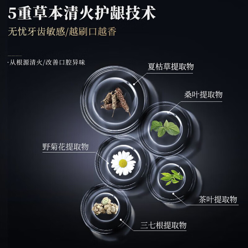 SOLEHE 和风雨和风雨益生菌牙膏男士专用酵素提亮去黄牙渍清新口气护龈竹盐家庭 海洋海盐牙膏220g*1