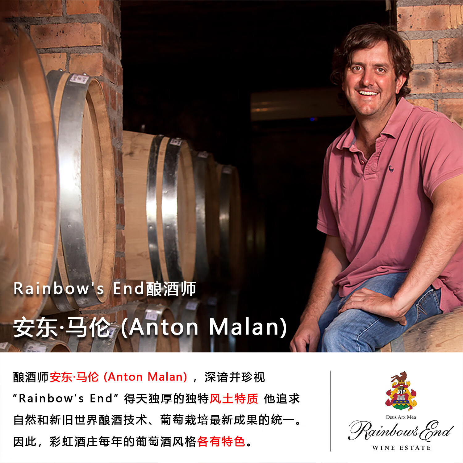 Rainbow's End Wine【金奖品丽珠】南非原瓶进口红酒2021年品丽珠干红葡萄酒庄园自酿 【橡木桶14个月】单支装750ml