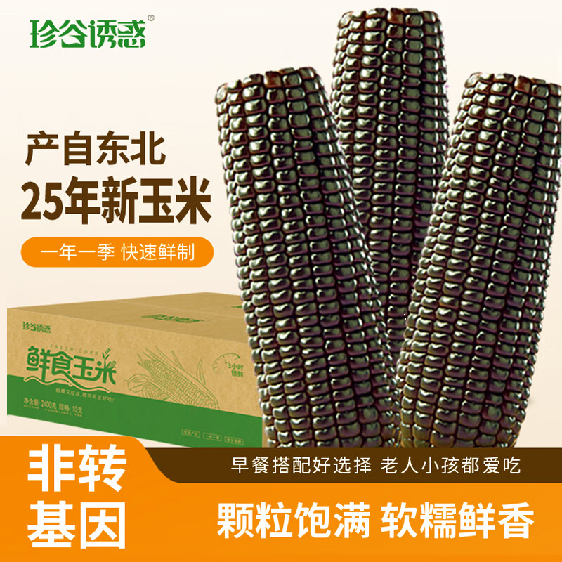 珍谷诱惑25年东北糯玉米新玉米黄糯玉米棒低脂早餐玉米粗粮代餐零食 小黑糯玉米12支 2.4kg