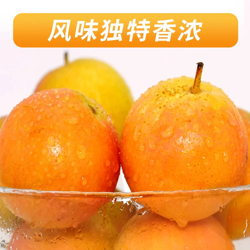 澄州呈礼正宗南果梨 辽宁鞍山红南国梨东北特产香水梨子新鲜水果 京东快递 黄南果梨 试吃装2斤