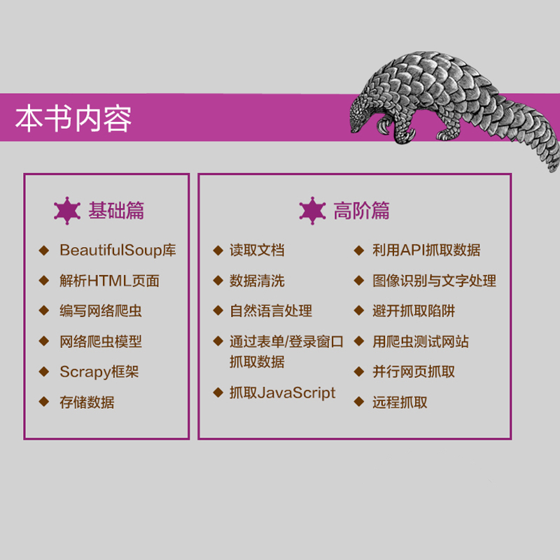 Python网络爬虫权威指南 第2版(图灵出品)