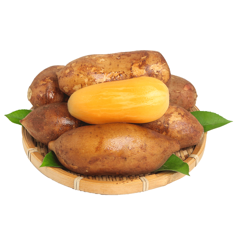 ����������ɽѩ���� �����ַ� ��ԭ����ѩ���ɹ� ��������ˮ�� 2�� 2.99Ԫ(����ȯ)