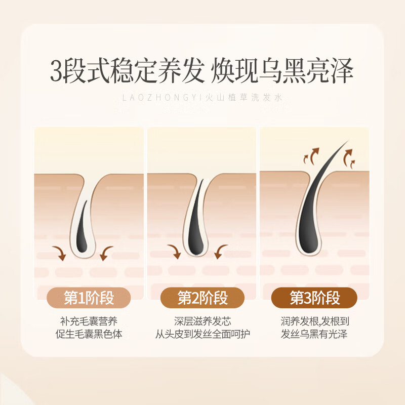 老中医人参何首乌润养洗发水 丰富泡沫平衡油脂强韧发根减少断发分叉 火山植草洗发水500ml