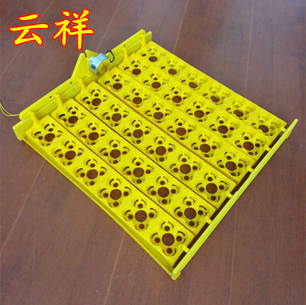孵蛋器家用塑料蛋盘48枚翻蛋电机鸡鸭鹅迷你24枚蛋窝小型孵化机 36枚