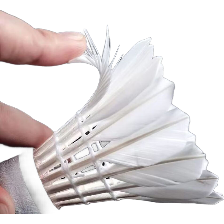 ëƷȻѼë12ֻװʹëѵ6ֻ Ƽޱ-ר 1Ͳ 12ֻװ