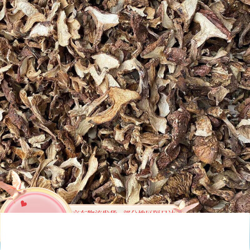 虎钢馋1云南特产藏区野生青杠菌青冈菌青岗菌鸡丝菌干片山珍菇500g