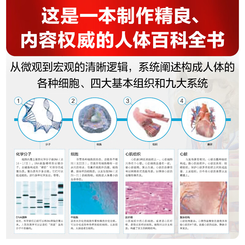 【樊登推荐】DK人体大百科修订版 人体视觉图鉴 家庭医生人体生理生命运转 医学科普生命教育 6-12岁青少年儿童医学人体科学科普百科全书 小学生课外阅读书籍 英国DK公司 新华正版 DK人体大百科
