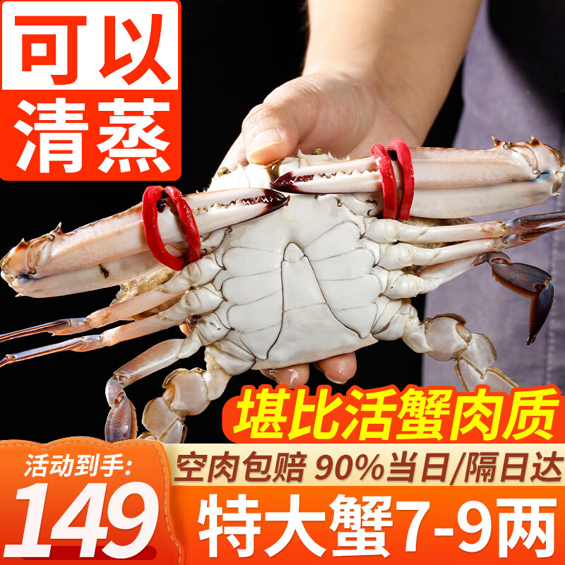 舟山梭子蟹 整只特大螃蟹鲜活冷冻海鲜水产 【可清蒸 特大号】净重4斤 共4-6只