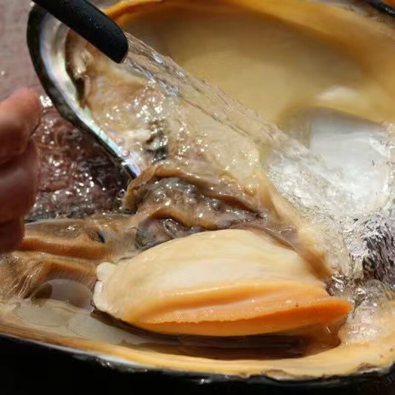 燕江澜河蚌肉新鲜河蚌鲜活现杀去壳河歪肉蛤蜊肉活体小河蚌可食用 【3