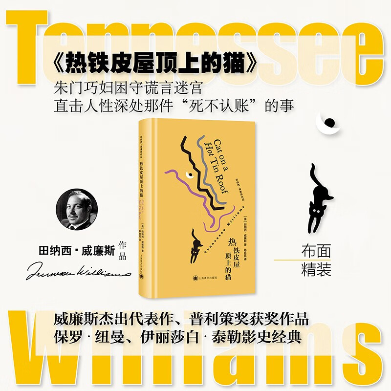 热铁皮屋顶上的猫 田纳西·威廉斯作品 [美]田纳西·威廉斯 著 陈良廷 译 伊丽莎白·泰勒影史经典 代表作 上海译文出版社 正版 热铁皮屋顶上的猫 正版
