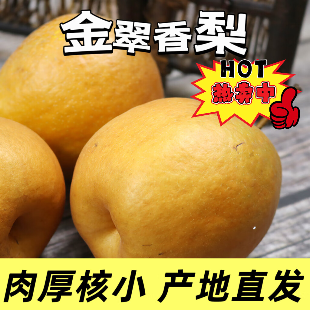 鲜姿 辽宁特产金翠香梨新鲜翠香梨水果当季新鲜水果生鲜 净重4.5斤 (单果75-80mm)