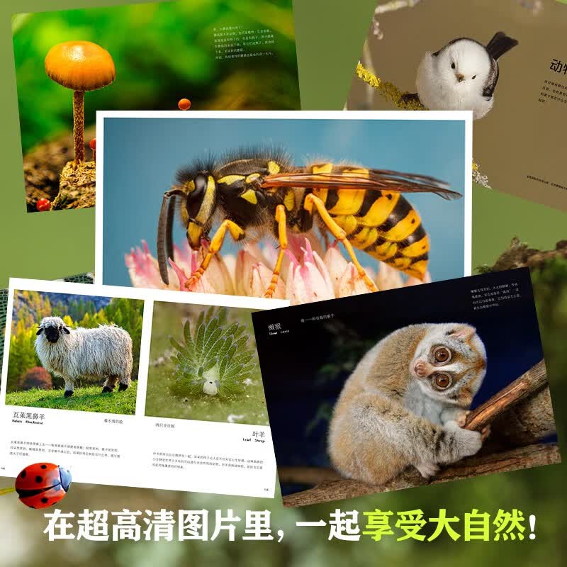 图 2