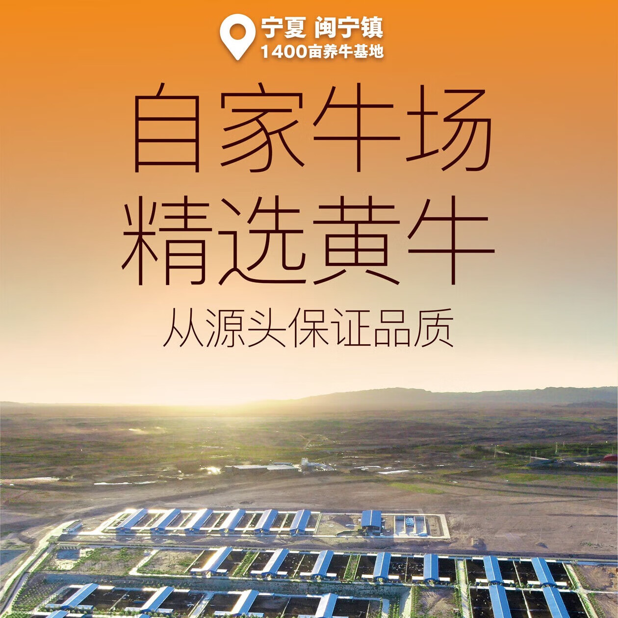潮发爆汁牛肉丸潮汕牛筋丸火锅食材烧烤关东煮生鲜食材【门店同款】 牛肉丸250g*2+牛筋丸250g*2（共2斤） 潮汕纯牛肉丸【不添加其他肉】