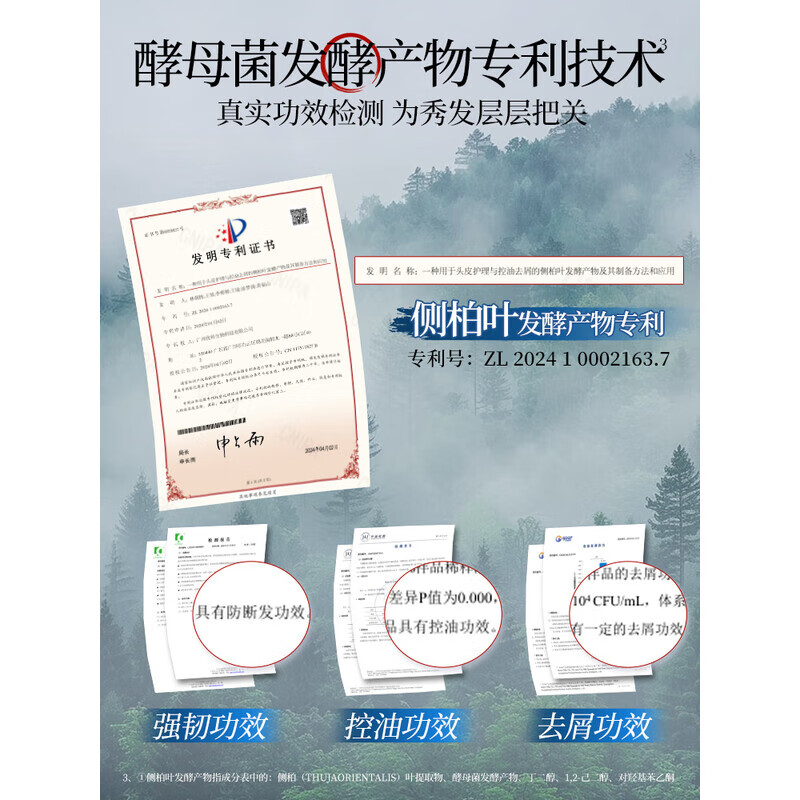 霸王侧柏叶洗发水500ml 丰盈强韧控油蓬松去屑洗头膏生姜防断发洗发露 侧柏叶控油森林晨曦500g