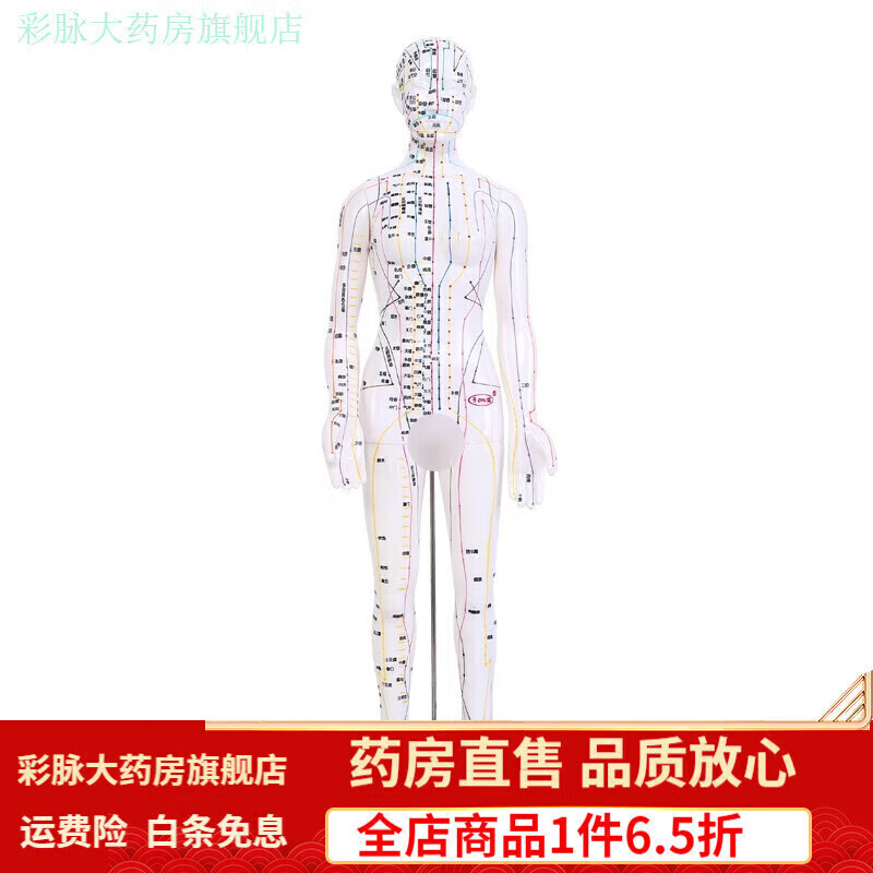 子彧（ZIYU）中醫(yī)經(jīng)絡(luò)圖針灸人體穴位模型全身男女小人銅人銅 白色 白色高清女模型48cm