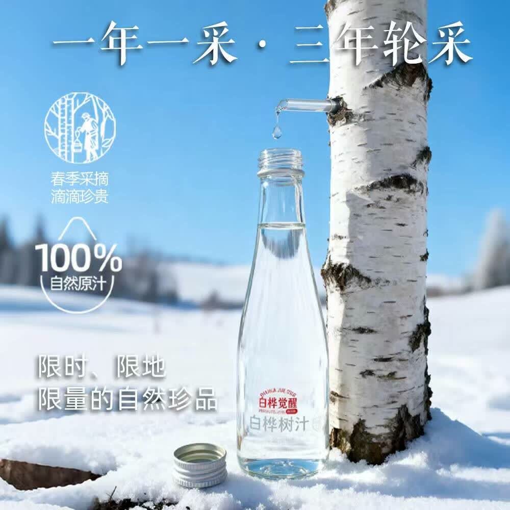 白桦觉醒白桦树汁原液饮料0卡0脂肪饮料(临期清仓保质期至2026.0601) 330ML*9(一箱)
