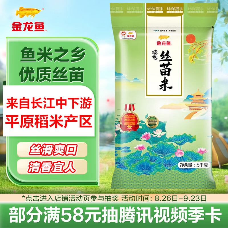 ������ ��ѡ˿���� ���� �Ϸ����� 10��