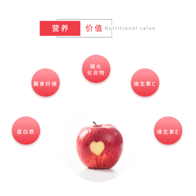 鲁小鲜山东烟台红富士苹果礼盒脆甜新鲜精选大果生日高端送礼水果礼盒装 精选大果12颗礼盒装(单果80mm+)