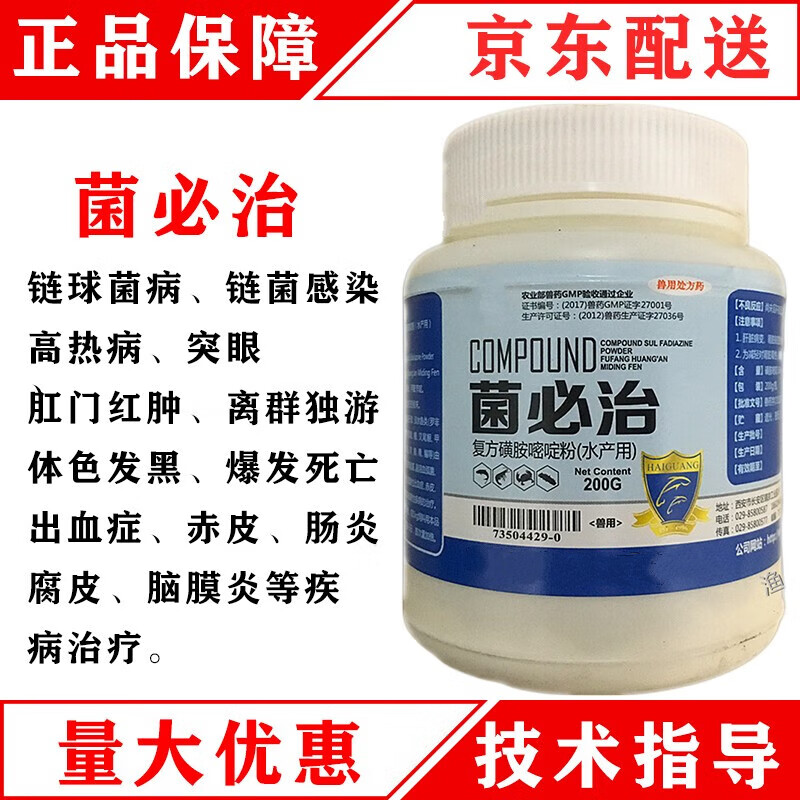 博晟洋海光菌必治罗非鱼鲫鱼突眼链球菌感染高热病死亡出血肠炎肚子