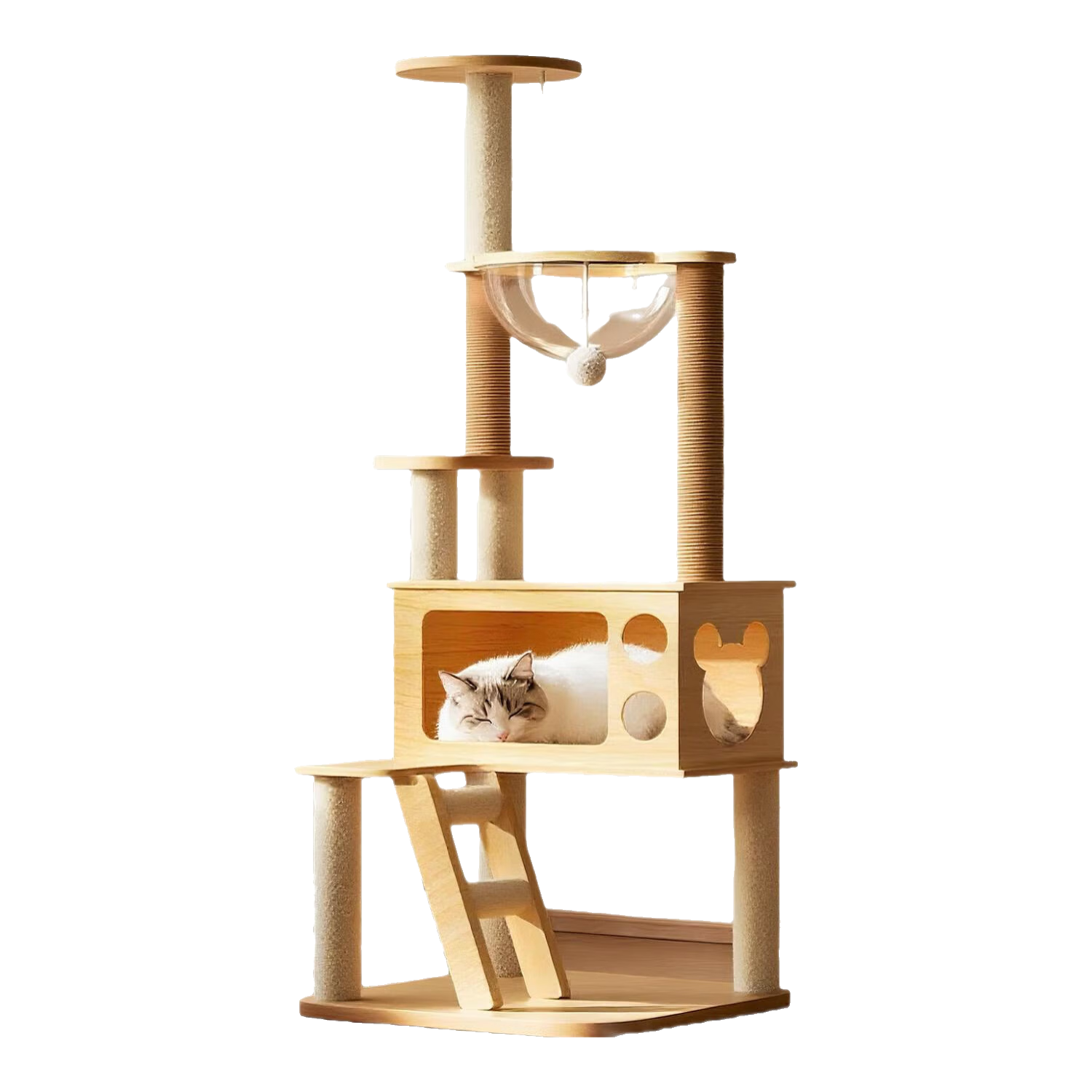 ������è���ܴ���è��è��һ�岻ռ��ͨ������ʵľ��������˯è����� �λ����ɱ������ֵ��ѡ� 138cm��㡾����̫�ղա� 119.9Ԫ